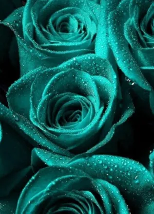 OnlyFans cuenta g9262 header 2