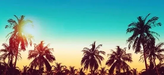 OnlyFans cuenta holisticswag header 2