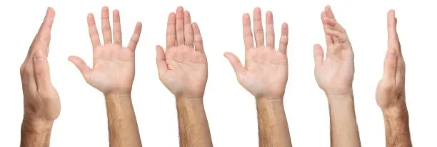 OnlyFans account  officialhands header 2