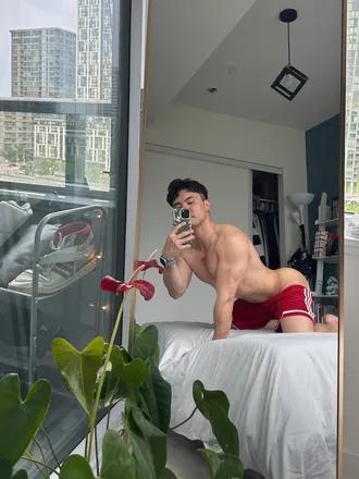 OnlyFans cuenta brief_off header 2