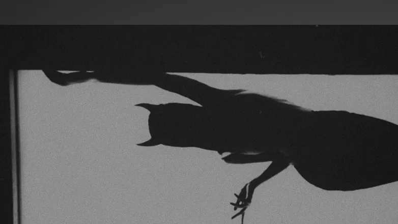 OnlyFans cuenta karleenaknight header 1