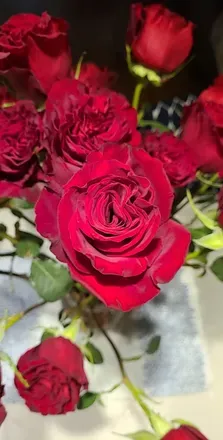 OnlyFans cuenta rosiblossomvip header 2