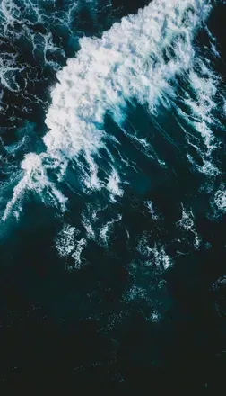 OnlyFans cuenta reed5ad header 2
