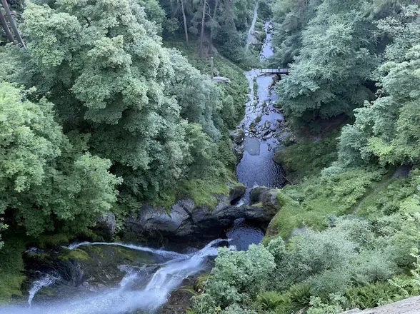 OnlyFans cuenta milcock header 2