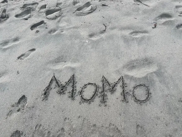 OnlyFans account  thatgingermo header 2