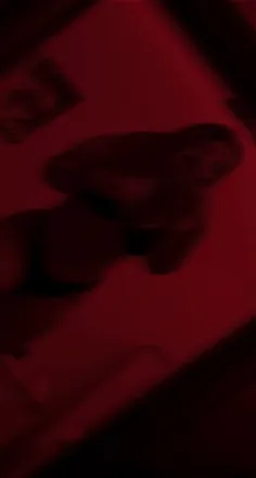 OnlyFans cuenta gabriela.0810 header 2
