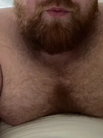 OnlyFans cuenta theunderwearbear avatar 1
