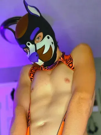 OnlyFans account  thegaybereal avatar 1