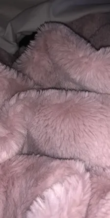 OnlyFans account  propercorn header 2