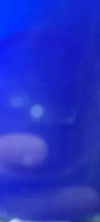 OnlyFans cuenta ricksanchez2023 header 2