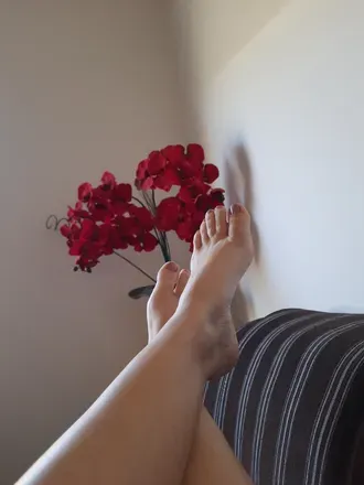 OnlyFans cuenta perfect02 avatar 1
