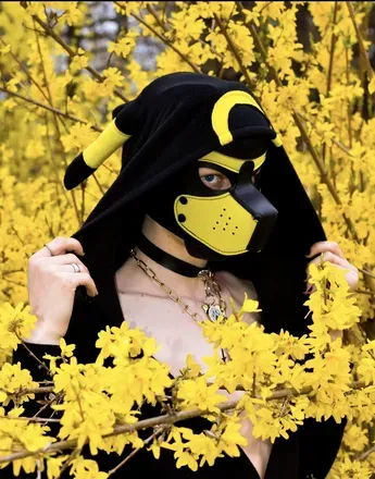 OnlyFans account  puppy_devil avatar 1