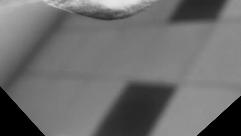 OnlyFans cuenta jonnzine header 2