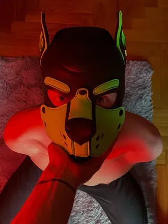 OnlyFans account  rinty.pup avatar 1