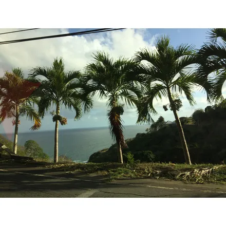 OnlyFans cuenta islandspice528 header 2