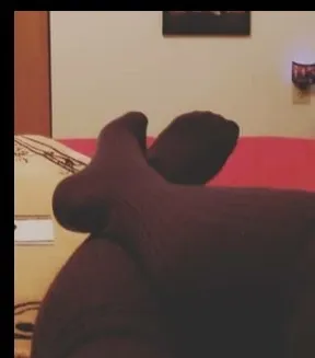 OnlyFans account  footfetishfreak6969 header 2