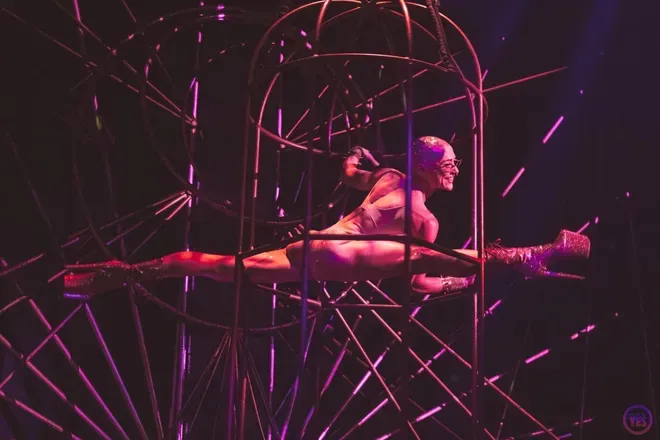 OnlyFans cuenta newyorkcat header 2