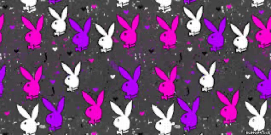 OnlyFans cuenta uluvkendall header 2