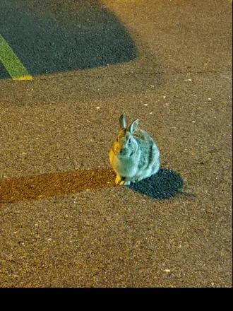 OnlyFans cuenta malikmajorxxx header 2