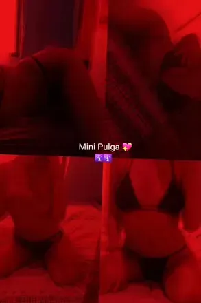 OnlyFans cuenta minipulga20 avatar 1