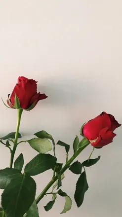 OnlyFans cuenta the1andonly_xoxo2022 header 2