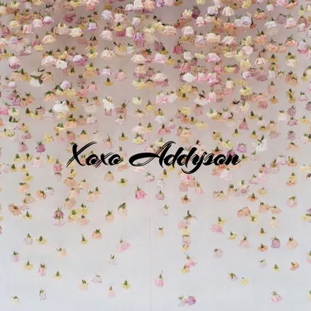 OnlyFans cuenta xoxoaddyson header 2