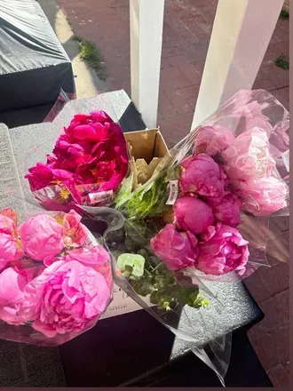 OnlyFans cuenta babydess header 2