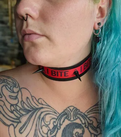 OnlyFans account  biterisk95 avatar 1