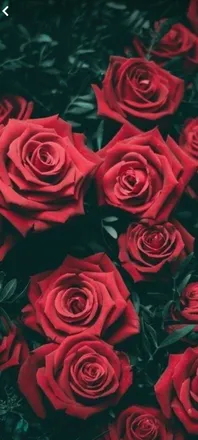 OnlyFans cuenta pamela97 header 2