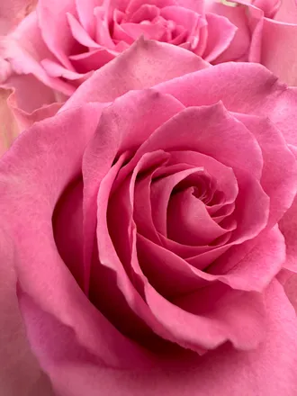 OnlyFans cuenta raquelrogers header 2