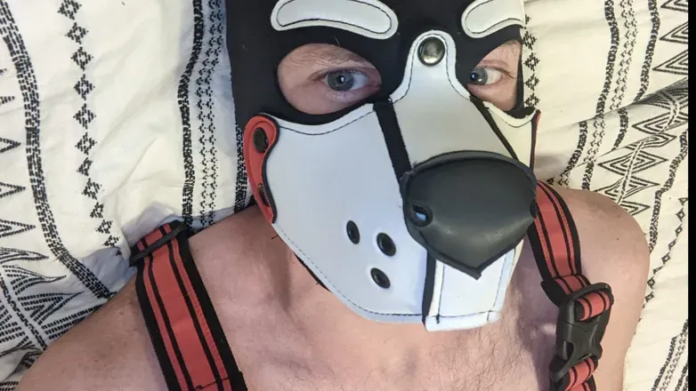 OnlyFans cuenta pup_chrono header 2