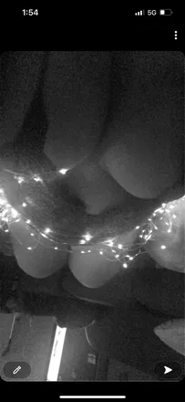 OnlyFans cuenta littlemissbeautiful53 header 2