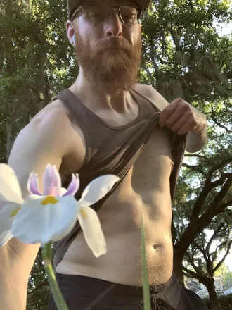 OnlyFans cuenta gingerartist header 2