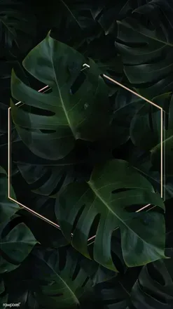 OnlyFans cuenta horticulturalmindset avatar 1