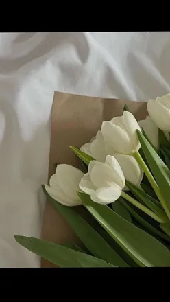 OnlyFans cuenta spicy.pisces2 header 2