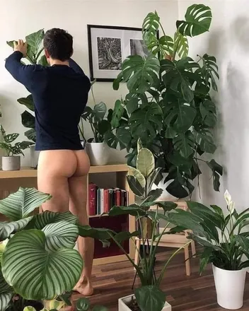 OnlyFans cuenta liamstone03 header 1