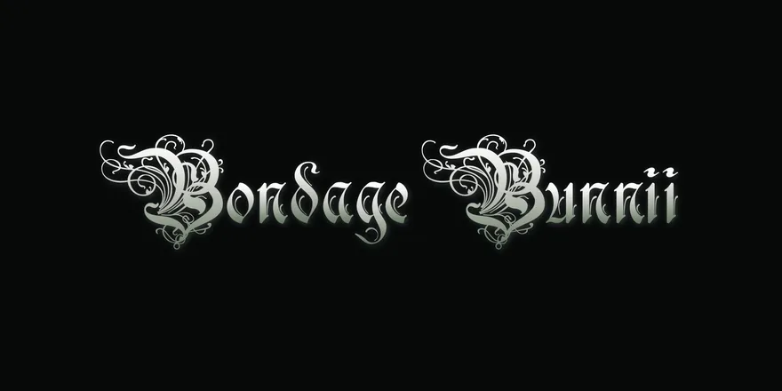 OnlyFans account  thebondagebunnii header 2