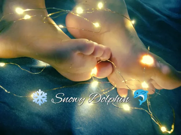 OnlyFans cuenta snowydolphin header 2