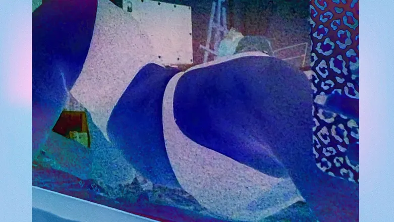 OnlyFans cuenta princessvivie header 2