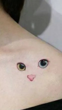 OnlyFans cuenta bob.the.cat header 2