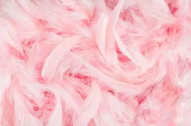 OnlyFans cuenta sasha.onlyfans header 2