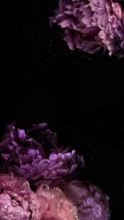 OnlyFans cuenta jhoyz header 2