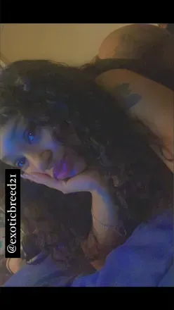 OnlyFans cuenta exoticbreed21 avatar 1