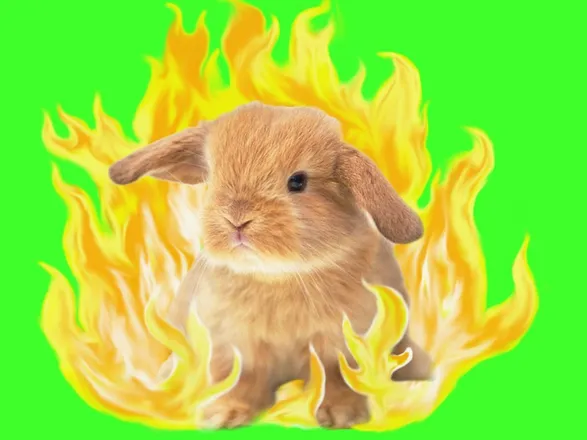 OnlyFans cuenta bunnyinflames header 2