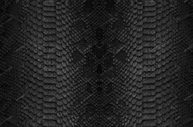 2025-08-20 photo 2