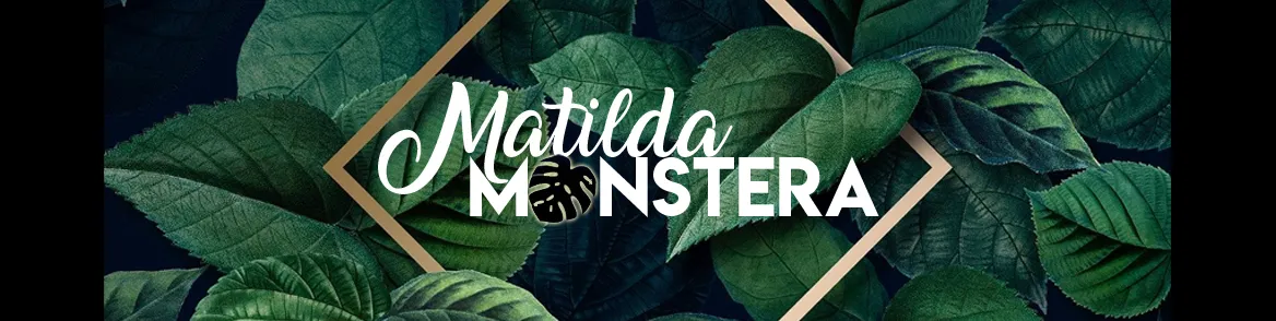 OnlyFans account  matildamonstera header 2