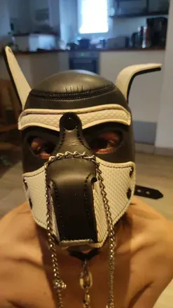 OnlyFans cuenta pupakari avatar 1