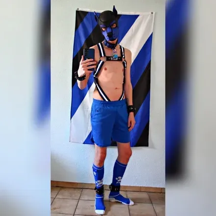 OnlyFans cuenta homopinguin avatar 1