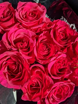 OnlyFans cuenta originalaltgirl header 2
