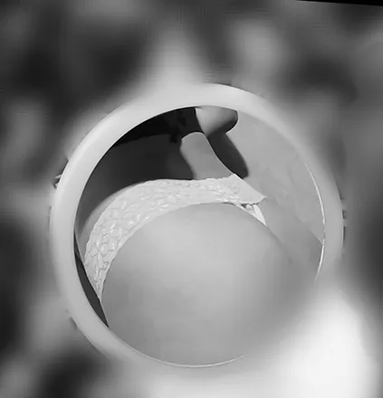 OnlyFans cuenta marianah1217 header 2
